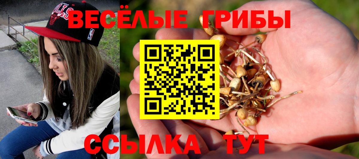 Псилоцибиновые грибы MAGIC MUSHROOMS Мурино