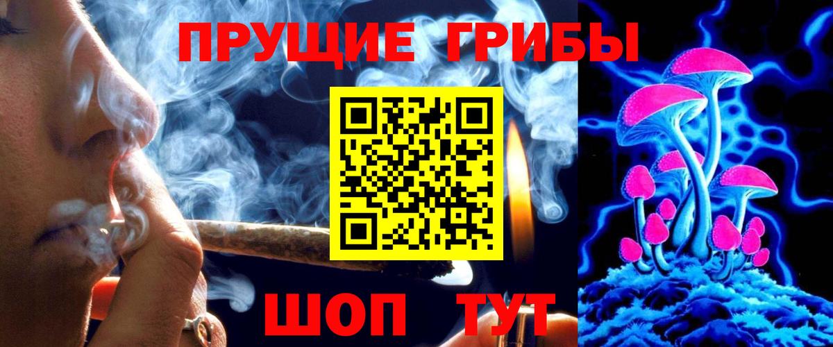 Мурино  Галлюциногенные грибы Psilocybe  Вход с VPN 